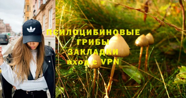 jwh Богданович